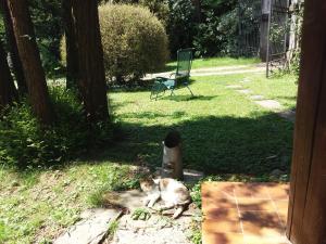 La Patirana Guesthouse