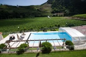 Solar Quinta da Portela - Douro - 圣玛尔塔迪佩纳吉昂