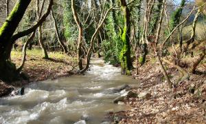 Chalet Coquelicot (Co-cli-co) relax in nature Achaia Greece