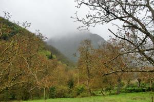 Chalet Coquelicot (Co-cli-co) relax in nature Achaia Greece