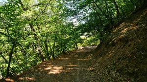 Chalet Coquelicot (Co-cli-co) relax in nature Achaia Greece