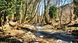 Chalet Coquelicot (Co-cli-co) relax in nature Achaia Greece