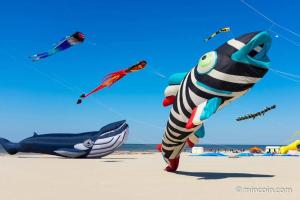 Appartements Relais vacances a la Mer 1 : photos des chambres