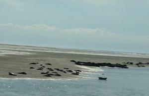 Appartements Relais vacances a la Mer 1 : Appartement en Duplex