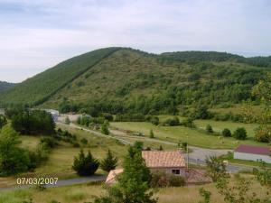 les palmiers des causses