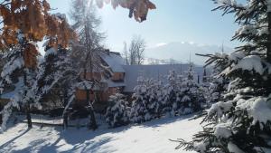 Zakopane - Harenda 13e