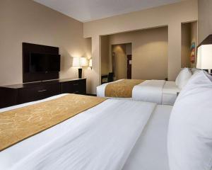 Queen Suite - Disability Access/Non-Smoking room in Comfort Suites Houston West At Clay Road
