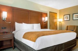 King Room - Accessible/Non-Smoking room in Comfort Inn & Suites