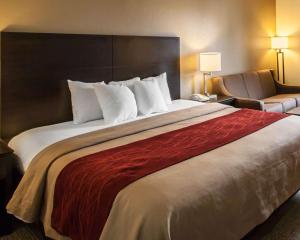 King Room - Non-Smoking room in Quality Inn Hayti North