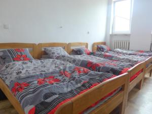 Best Location Hostel Lublin