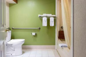 King Room - Accessible/Non-Smoking room in Sleep Inn & Suites Oregon