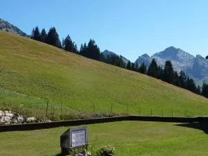 Ski Soleil 211 - Manigod