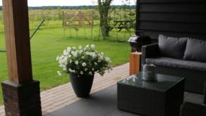 Vakantiehuis Weideblik