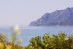 Appartamento con Vista Mare