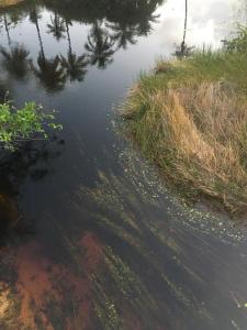Condomínio Reserva Imbassai