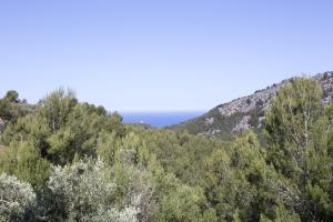 Villa Es Coco, Soller