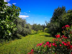 Ecohouse Oliveglia