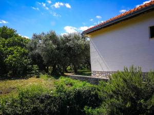 Ecohouse Oliveglia