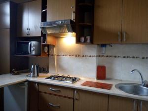 Flat on Sheptytskykh