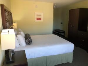 Deluxe Queen Room with Roll in Shower - Disability Access room in Maple Tree Inn