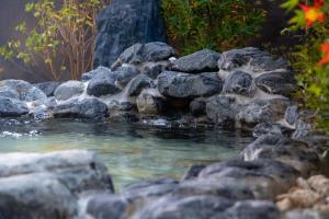 GRANDVRIO HOTEL NARA -WAKURA- -ROUTE INN HOTELS-