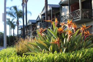 Hotel Renmark