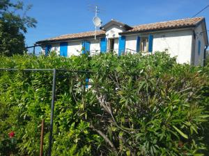 House Ivas with garden