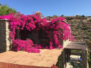 Villa CIGALE Kea Greece