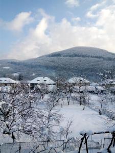 "Карпатський краєвид"