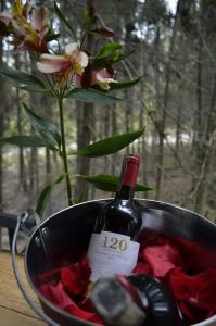 Casa En El Árbol Con Sauna somos PETFRIENDLY