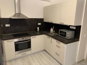 Апартамент Penzion Žatec Жатец Чехия