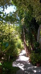 Baha-Ammes Kefalloniá Greece