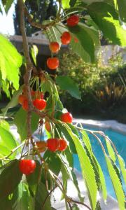 Casa Los Cerezos en Chacras de Coria