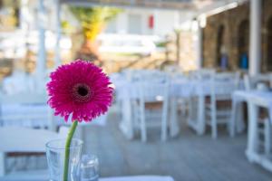 Villa Irini Sifnos Greece