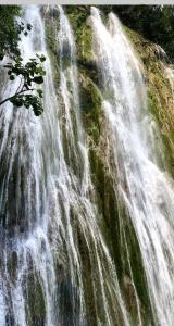 Guest House Waterfall Parnassos Greece