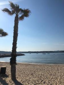 Appartements Les balcons de Bandol Centre ville avec vue mer et face a la plage : photos des chambres