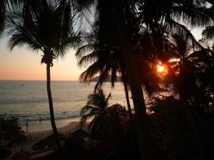 Hotel Catalina Beach Resort