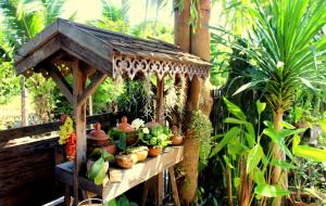 Stay with Brite The Home-stay in Chiang Mai