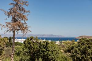 Sun Drop Villa in Drios Paros Greece