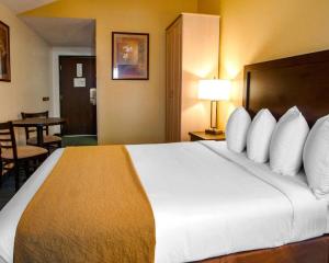 Queen Room - Non-Smoking room in Quality Inn & Suites Springfield