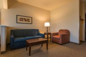 Comfort Suites Springfield-Eugene