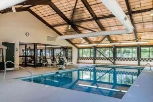 Comfort Inn Pine Grove I-81 Hershey Area - Minersville