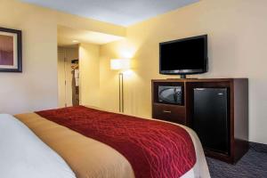 King Room - Non-Smoking room in Comfort Inn Feasterville - Trevose