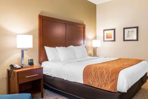 King Room - Non-Smoking room in Comfort Inn Chambersburg