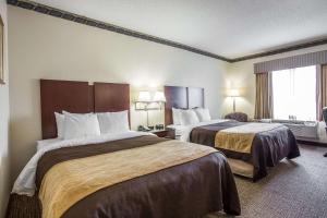 Queen Room with Two Queen Beds - Non-Smoking/Pet Friendly room in Comfort Inn & Suites Ft.Jackson Maingate