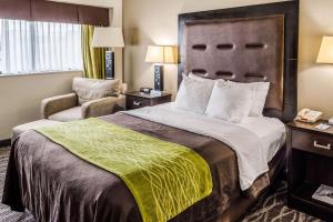 Queen Room - Disability Access/Non-Smoking room in Comfort Inn Downtown Charleston