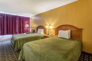 Double Room with Two Double Beds - Non-Smoking room in Rodeway Inn Denmark - Jackson