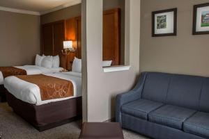 Comfort Suites New Braunfels - San Antonio Area