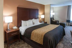 King Room - Non-Smoking room in Comfort Inn Conroe