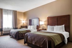 Double Room with Two Double Beds - Non-Smoking room in Comfort Inn Edinburg South